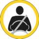 Euro NCAP adult occupant protection logo