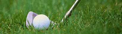 Cover from &pound;21. Get a golf insurance quote
