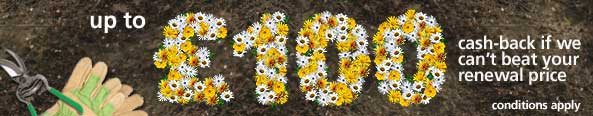 Up to £100 cash back if we can't beat your home insurance renewal price. Get a quote.
