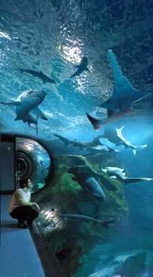Aquarium de la Rochelle