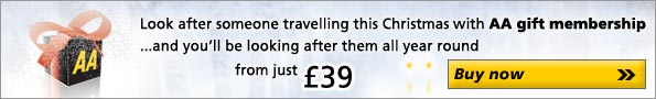 Give AA gift membership at Christmas