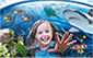 Sea Life Centre image