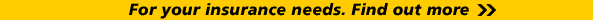 Insurance cover from the AA