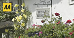 Rose garden