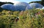 Eden Project
