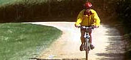 Cyclist - search for bikes and rides