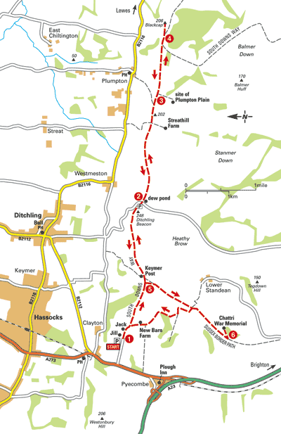 Downs_Cycle_Map32.gif