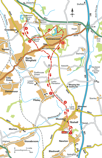 Peak_Cycle_Map40.gif