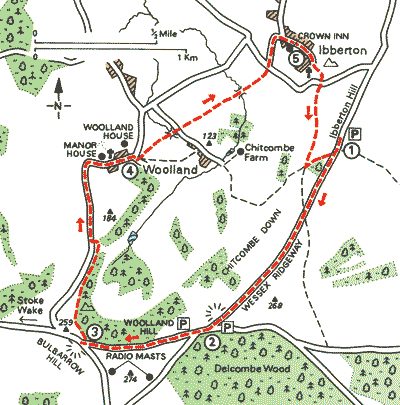 Dorset_Walks_Map31.gif