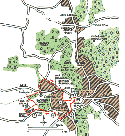 Places and Palaces in Danbury Country Park - Walks - The AA