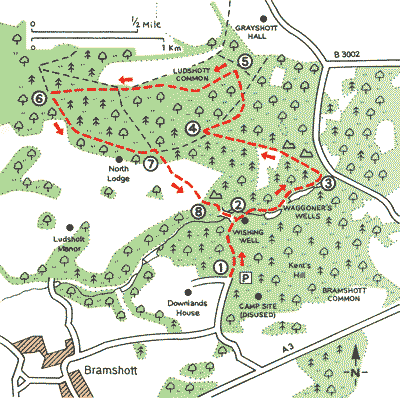 Hants_Walks_Map1.gif