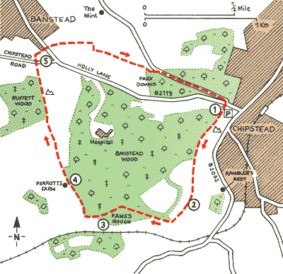 Surrey_Walks_Map11.gif