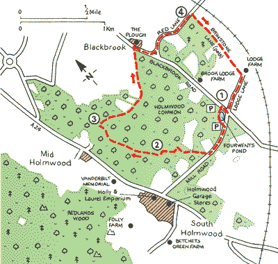 Surrey_Walks_Map13.gif
