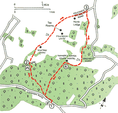 Surrey_Walks_Map22.gif