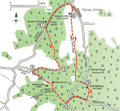 Surrey_Walks_Map31.gif