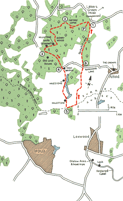 Surrey_Walks_Map36.gif