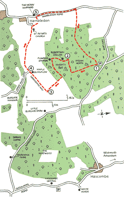 Surrey_Walks_Map38.gif