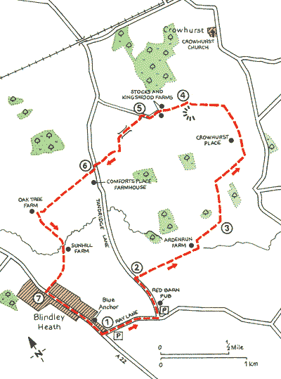 Surrey_Walks_Map6.gif