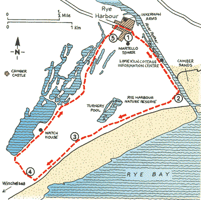 Sussex_Walks_Map1.gif