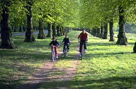 Cambridge_Walks12.jpg