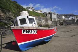 Cornwall_Walks16.jpg