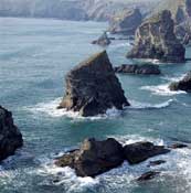 Cornwall_Walks22.jpg