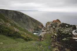 Cornwall_Walks23.jpg