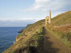 Cornwall_Walks31.jpg