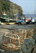 Cornwall_Walks36.jpg