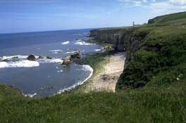 Cornwall_Walks37.jpg