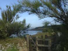 Cornwall_Walks42.jpg
