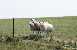 Cotswolds_Walks6.jpg