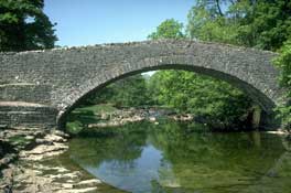 Dales_Walks21.jpg