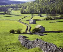 Dales_Walks25.jpg