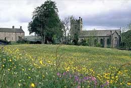 Dales_Walks3.jpg