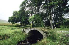 Dales_Walks7.jpg
