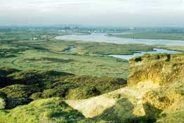 Dorset_Walks1.jpg