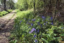 Dorset_Walks13.jpg