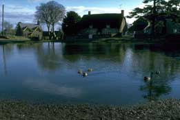 Dorset_Walks21.jpg
