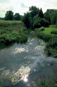 Dorset_Walks26.jpg