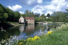 Dorset_Walks27.jpg