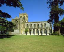 Dorset_Walks28.jpg