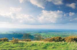 Dorset_Walks31.jpg
