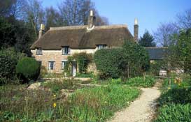 Dorset_Walks36.jpg