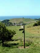 Dorset_Walks38.jpg