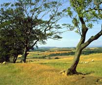 Durham_Walks17.jpg