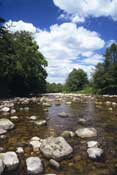 Durham_Walks32.jpg