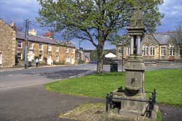 Durham_Walks33.jpg