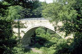 Durham_Walks36.jpg