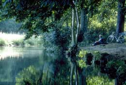 Durham_Walks38.jpg